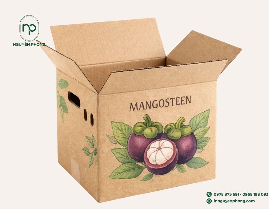 Mẫu thùng carton đựng măng cụt 